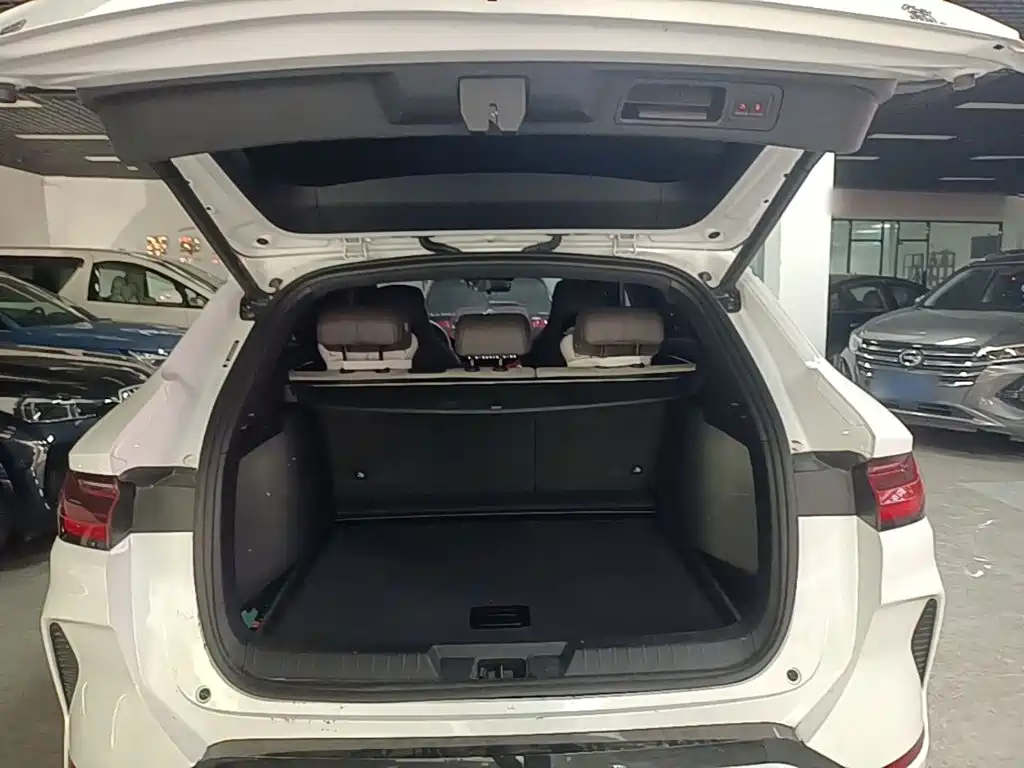BYD PLUS New Energy — миниатюра 19