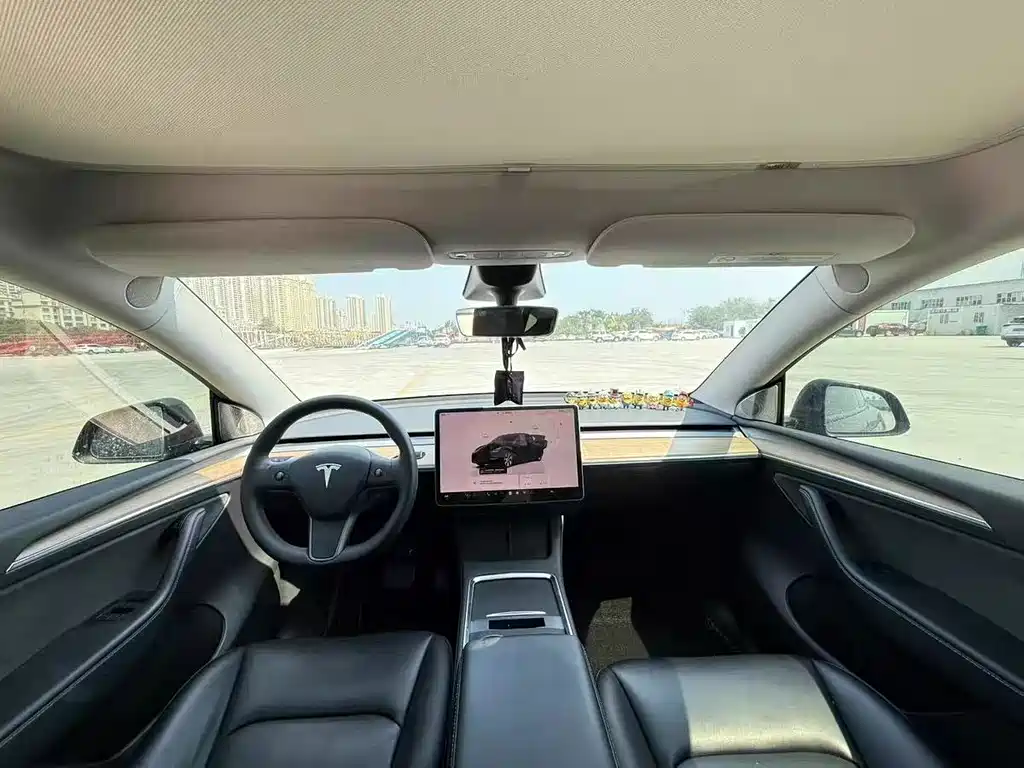 Tesla Model Y — миниатюра 8