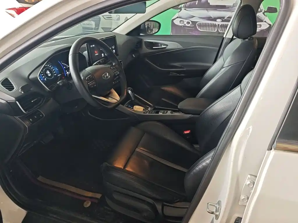 Hyundai Fista — миниатюра 15