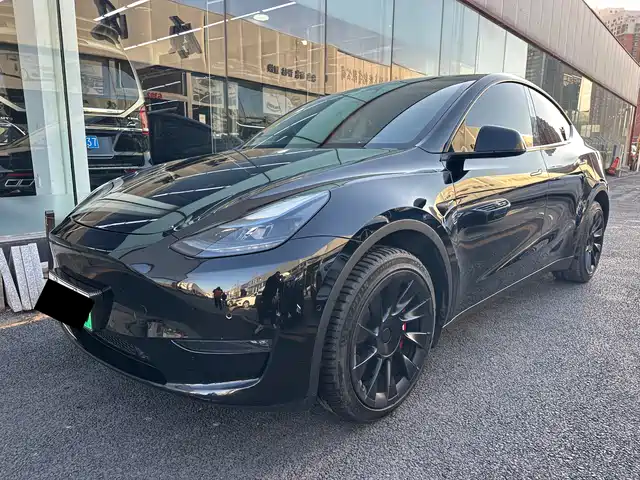 TESLA MODEL Y 2024