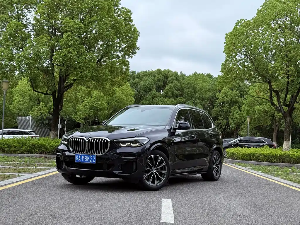 Купить BMW X5 (Import)
