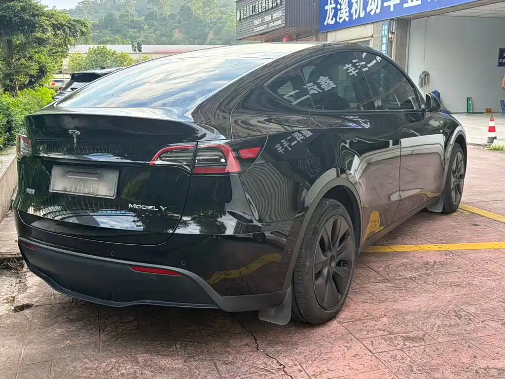 Tesla Model Y — миниатюра 7