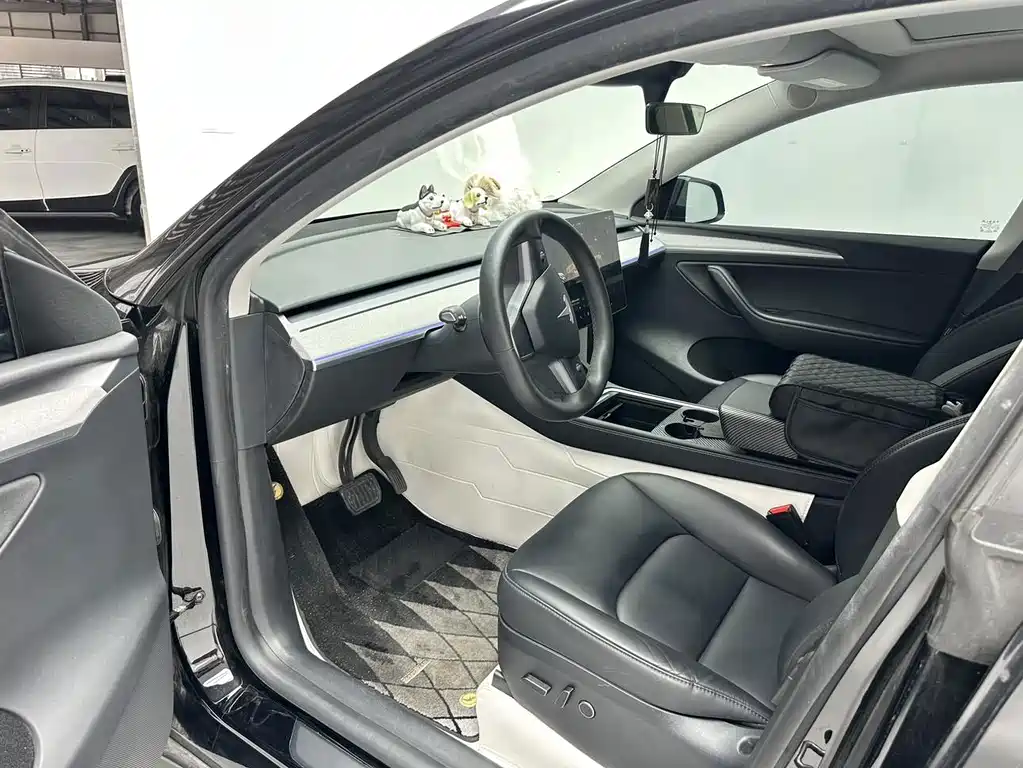 Tesla Model Y — миниатюра 9