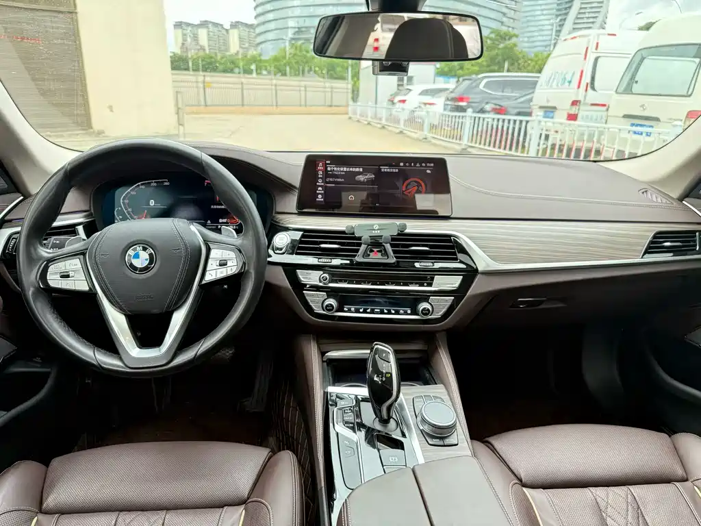 BMW 5 Series 5 2020 530Li Premium Luxury