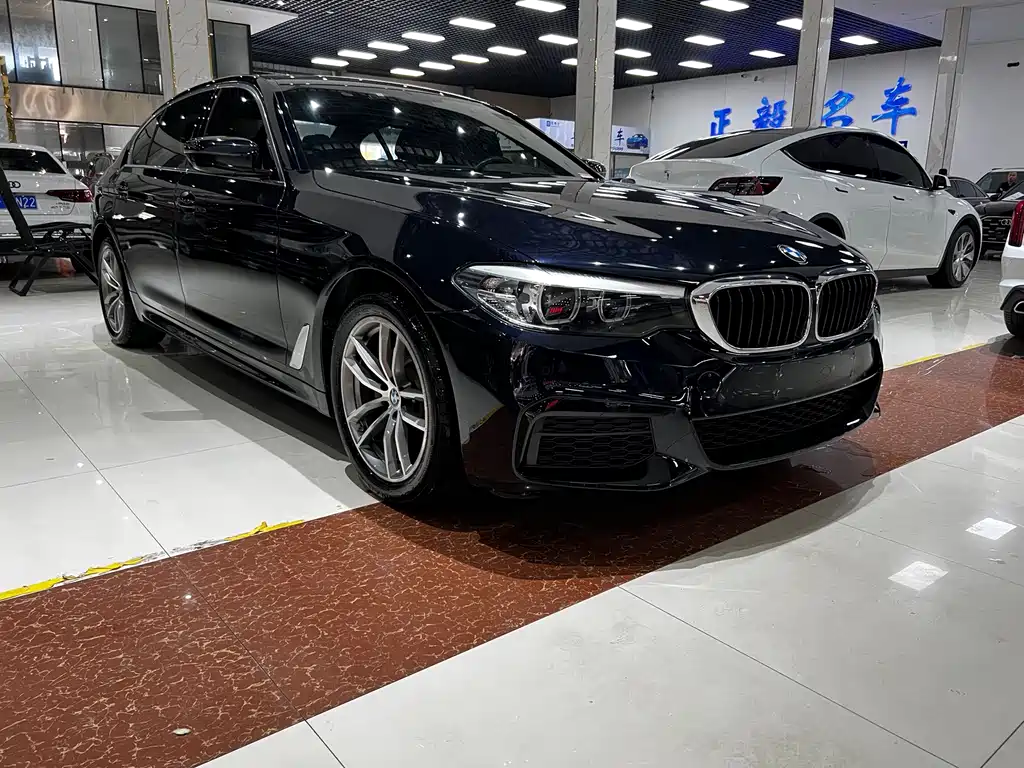 BMW 5 Series — миниатюра 3