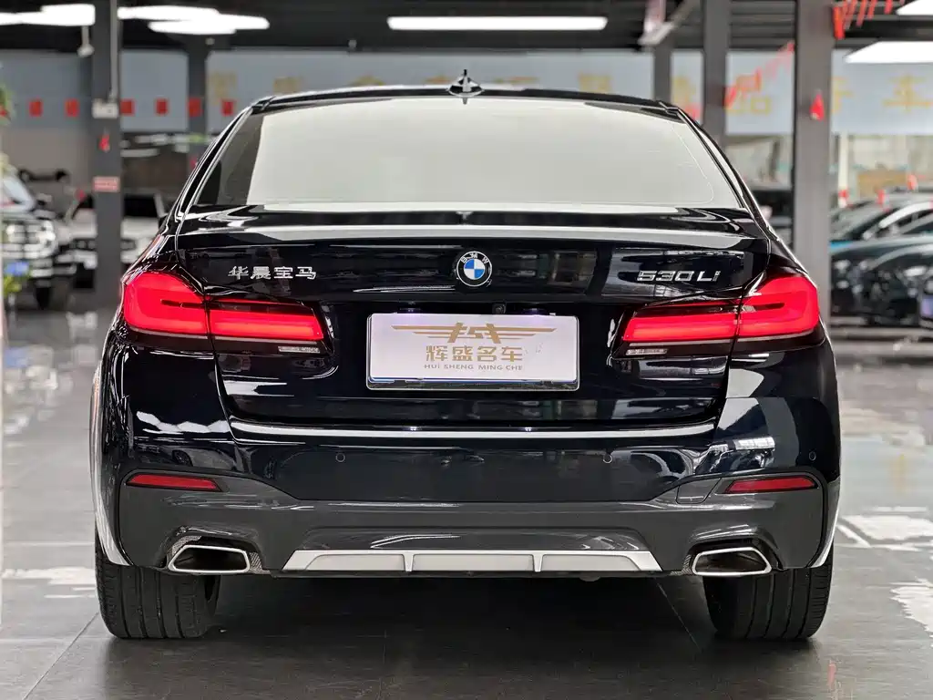BMW 5 Series — миниатюра 4