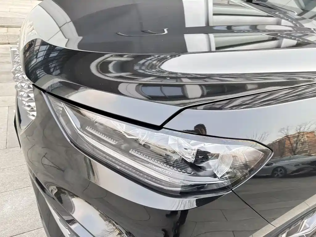 WEI PAI WEI BRAND VV5