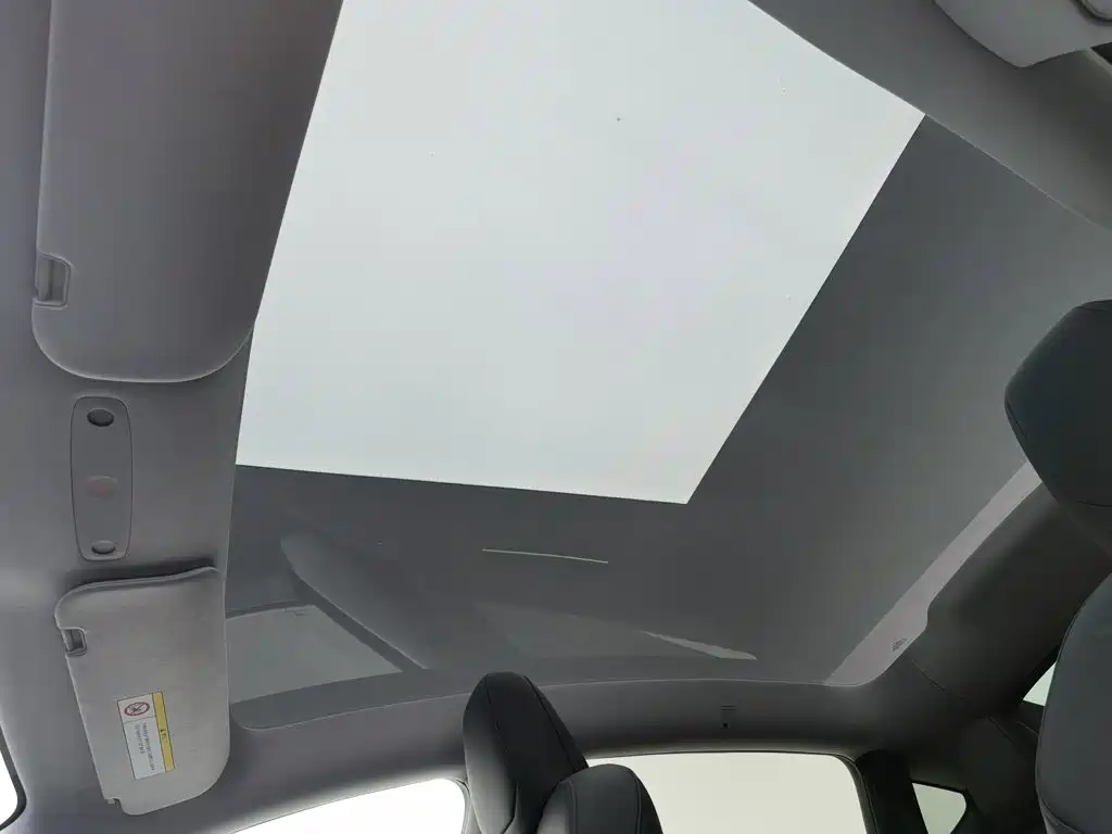 Tesla Model Y — миниатюра 14