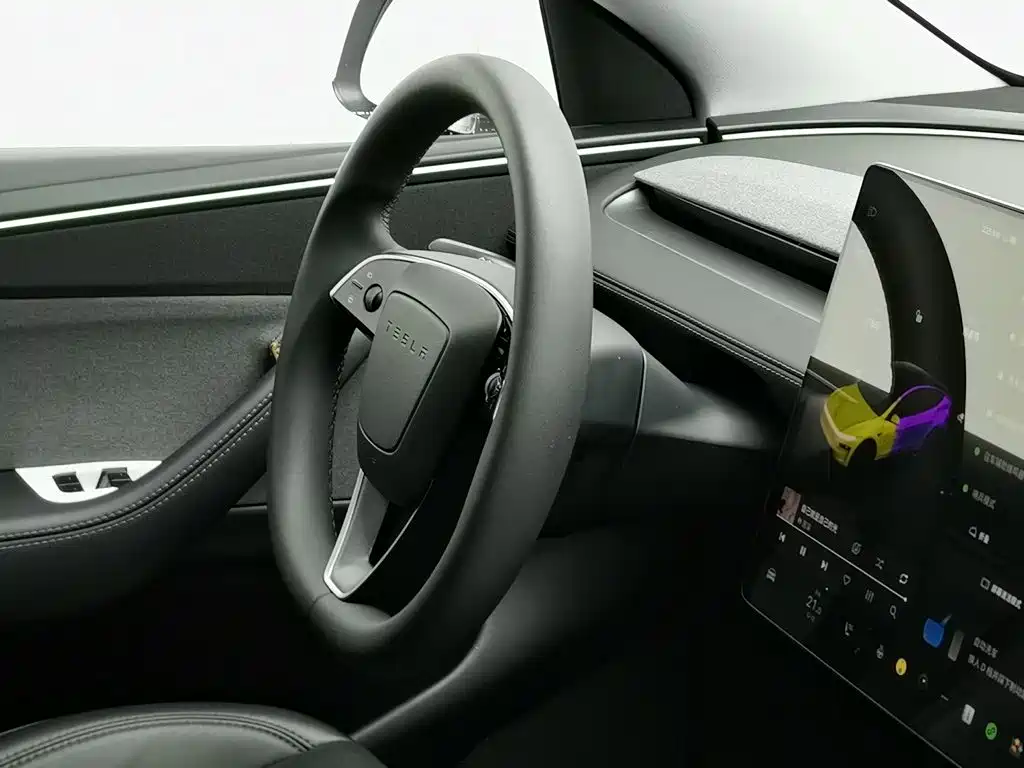 Tesla Model Y — миниатюра 22