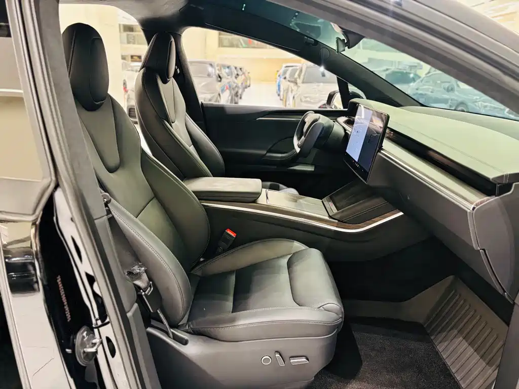 Tesla Model X — миниатюра 8