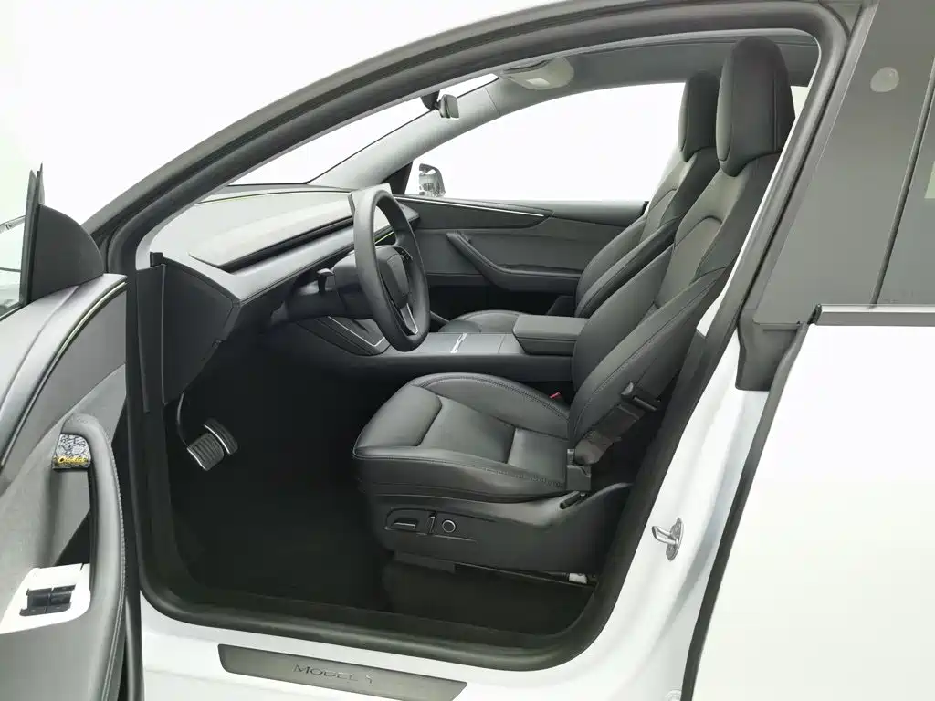 Tesla Model Y — миниатюра 10