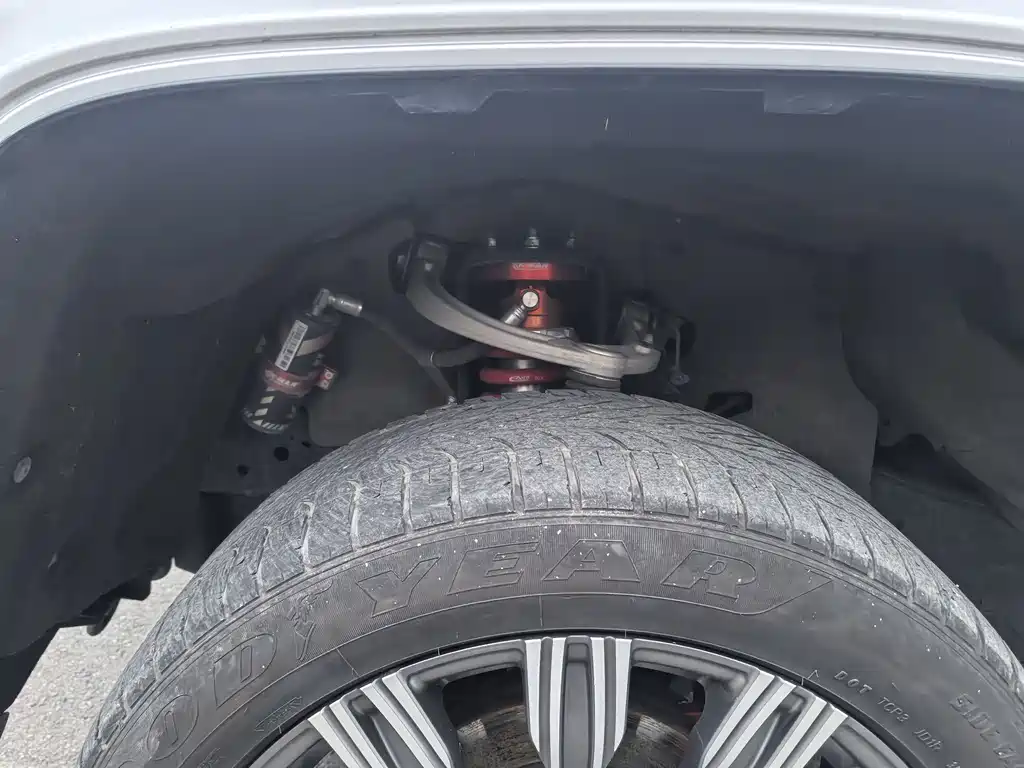 TANK CO CREATION TANK 300