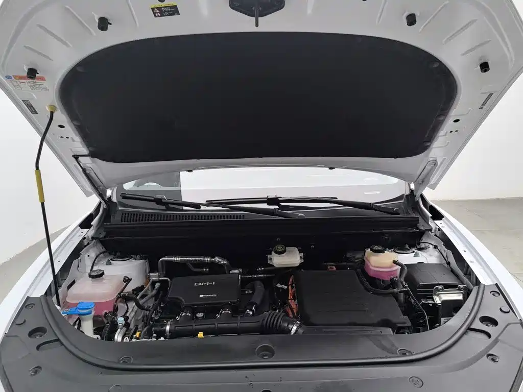 BYD Sealion 05 DM-i — миниатюра 6