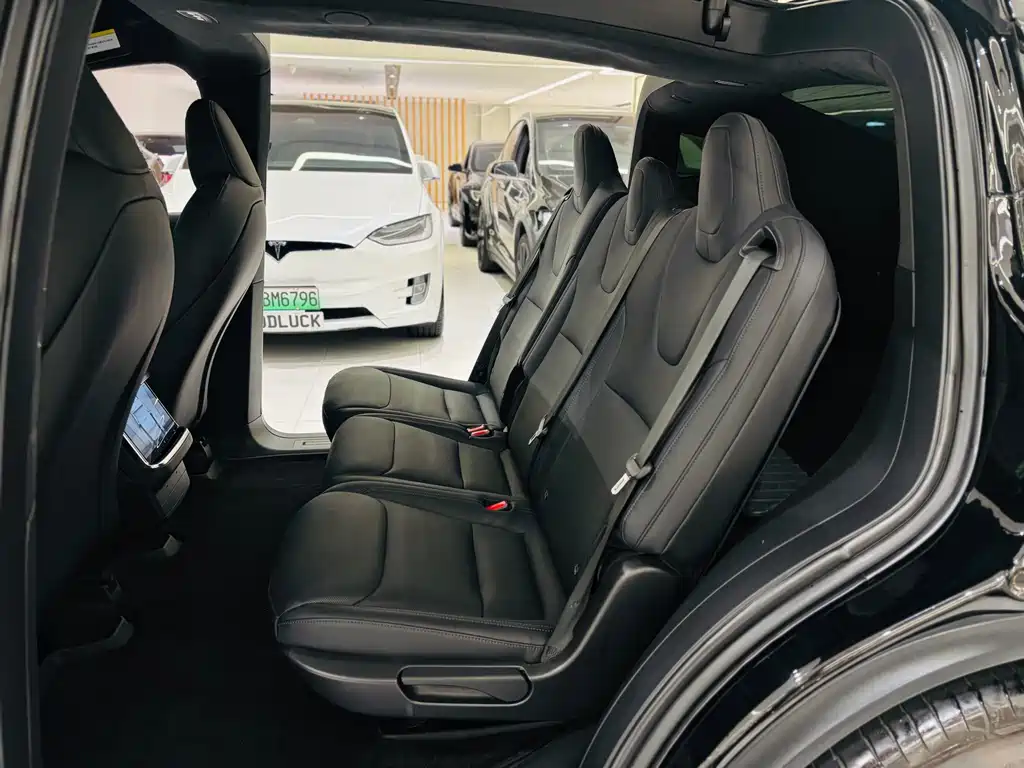 Tesla Model X — миниатюра 11