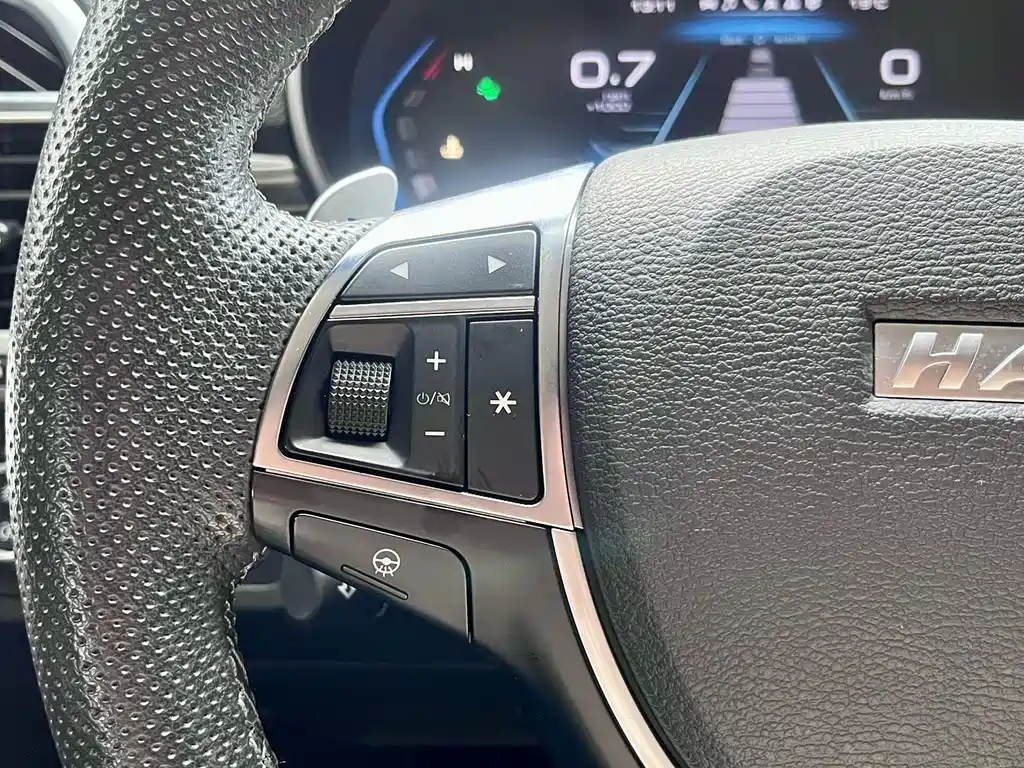 Haval H9 — миниатюра 18