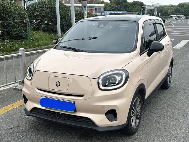 2021 Leapmotor T03