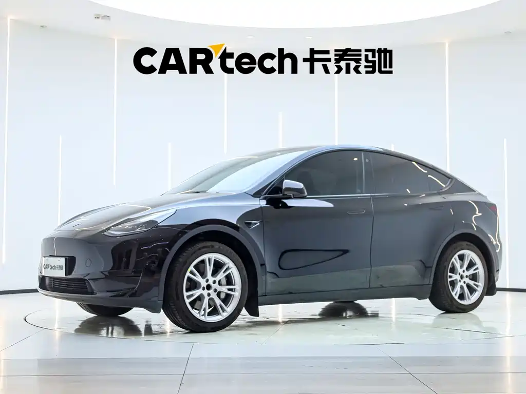 Tesla Model Y — миниатюра 2