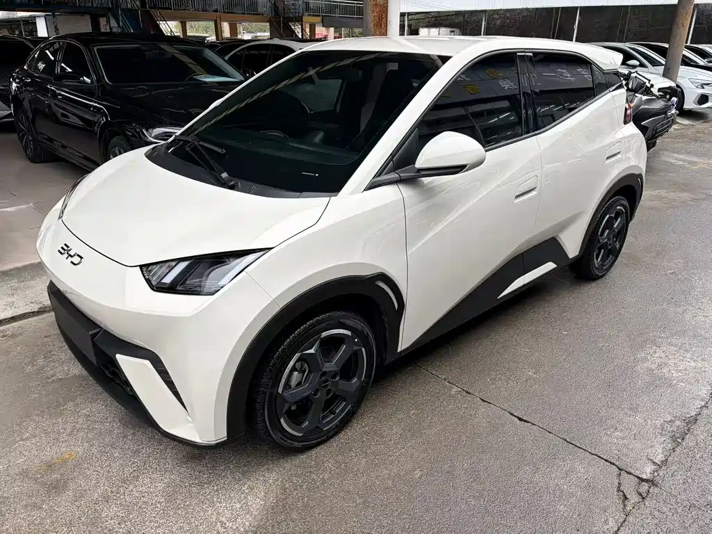 BYD Seagull