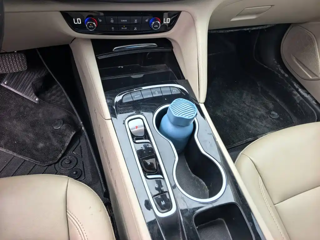 Buick Regal — миниатюра 15