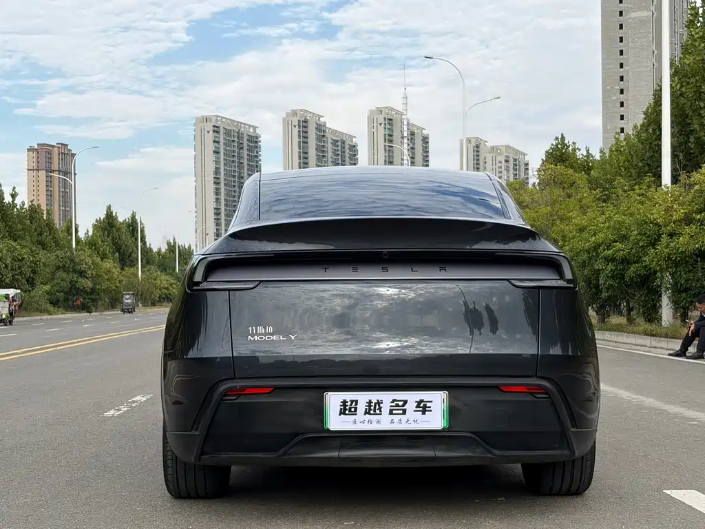 Tesla Model Y — миниатюра 16