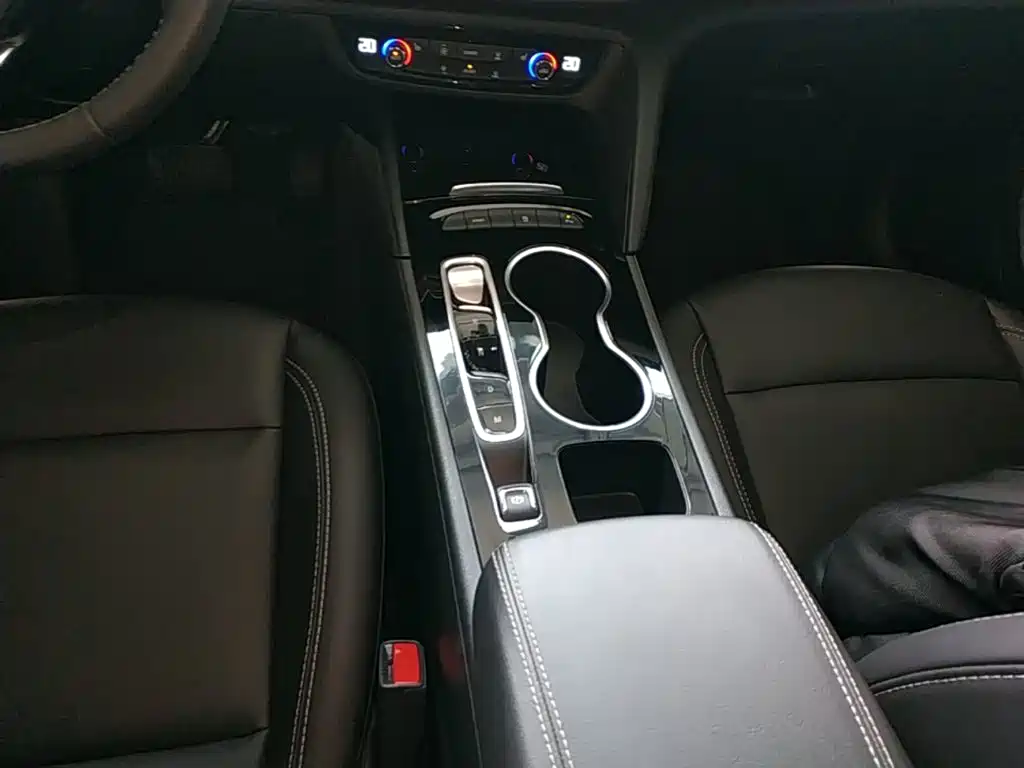 Buick Regal — миниатюра 14
