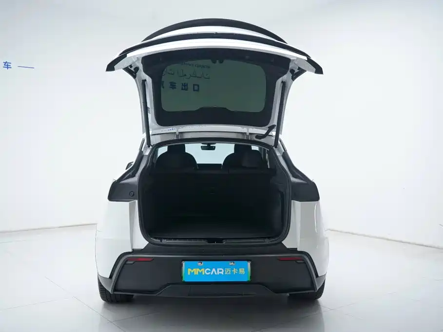Tesla Model Y — миниатюра 8