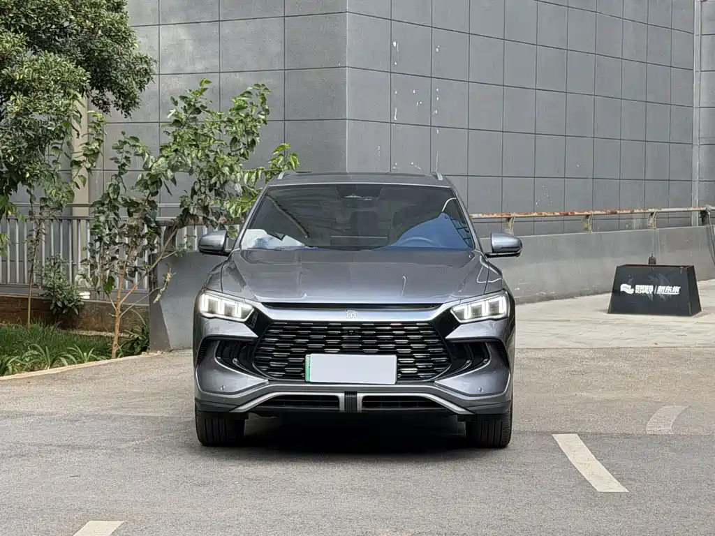 BYD Pro New Energy — миниатюра 2