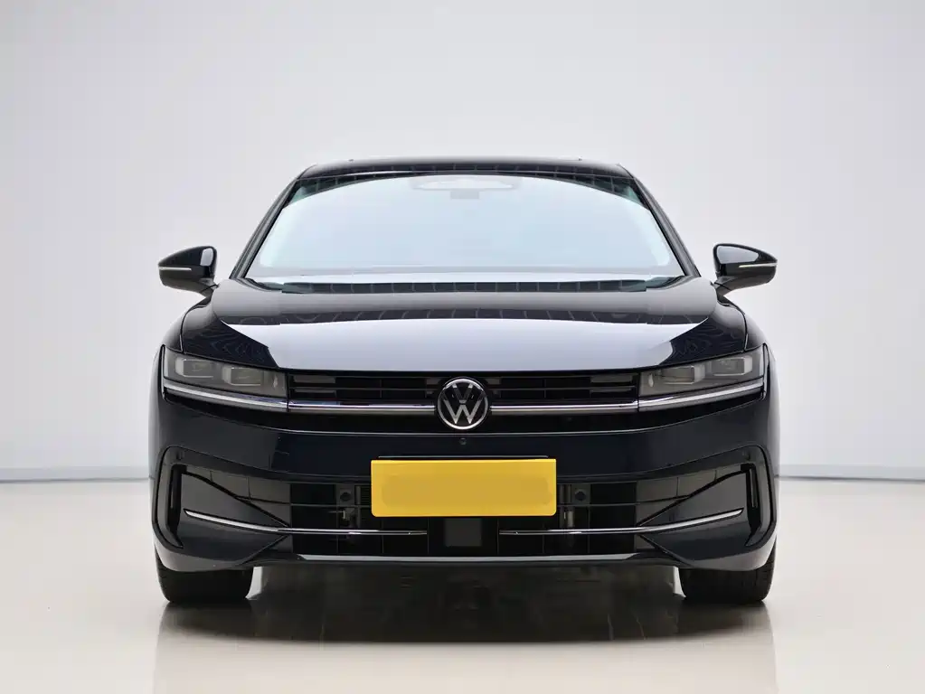 Volkswagen Magotan — миниатюра 2