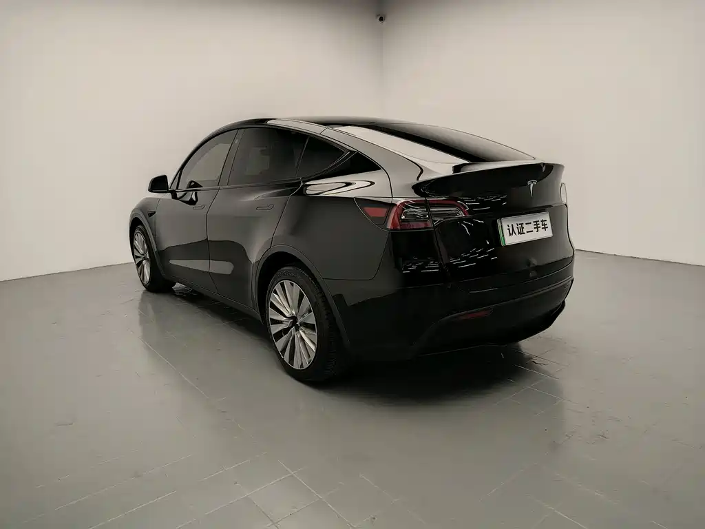 Tesla Model Y — миниатюра 5