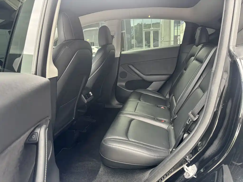 Tesla Model Y — миниатюра 6