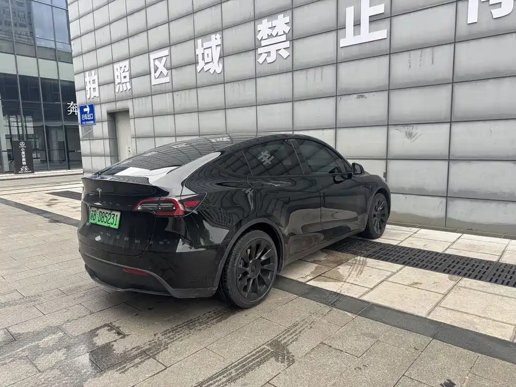 Tesla Model Y — миниатюра 7