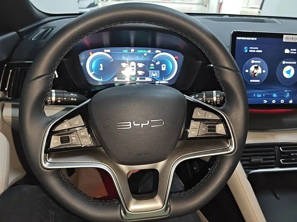 BYD PLUS New Energy — миниатюра 11