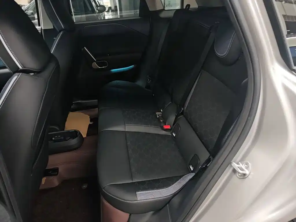 MINI MINI ACEMAN EV — миниатюра 17