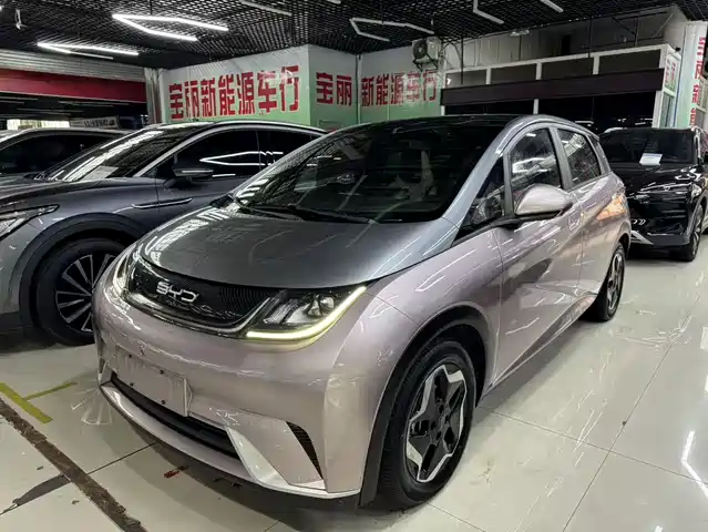 2022 BYD Dolphin