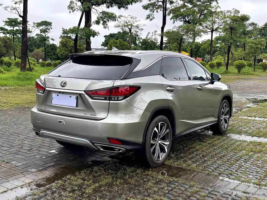 Lexus RX — миниатюра 6