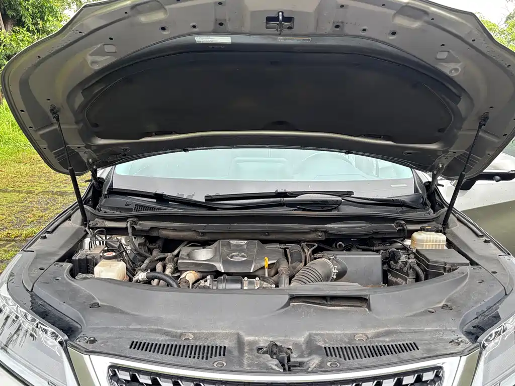 Lexus RX — миниатюра 15