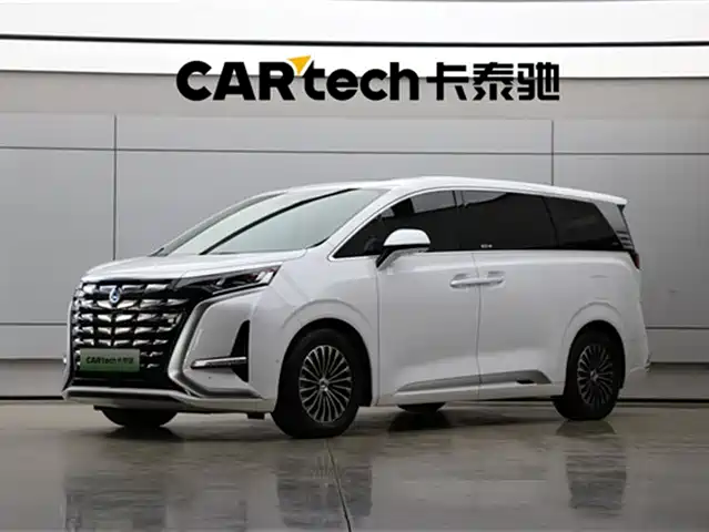 2024 Denza D9