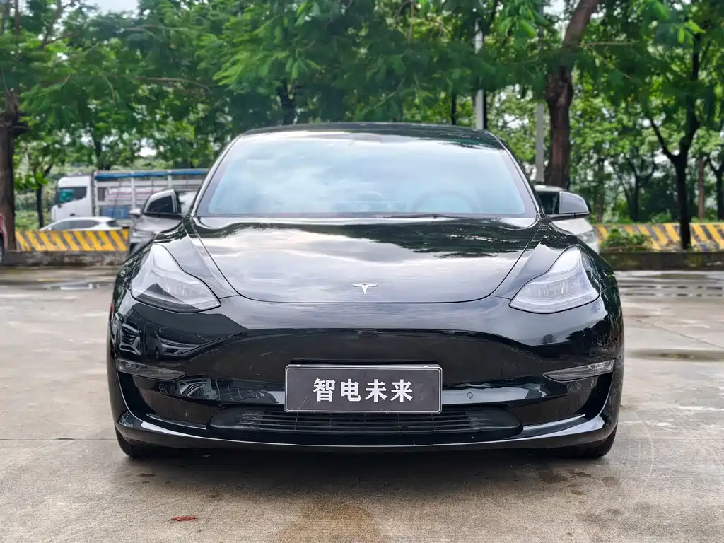 Tesla Model 3 — миниатюра 2