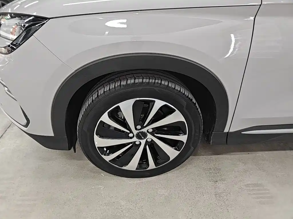 BYD PLUS New Energy — миниатюра 23