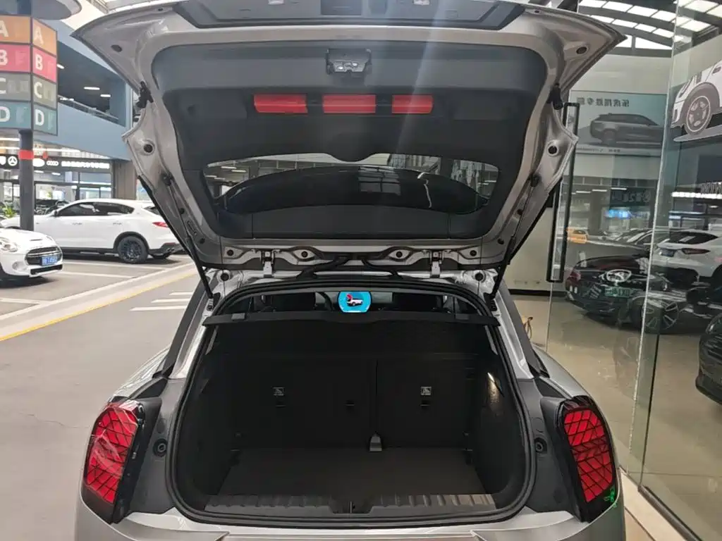 MINI MINI ACEMAN EV — миниатюра 19