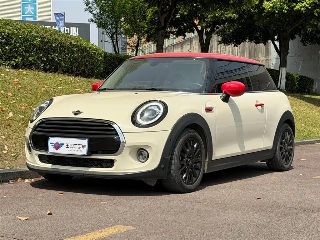Mini Mini 2019