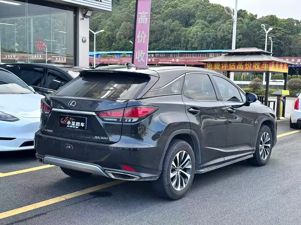 Lexus RX — миниатюра 2