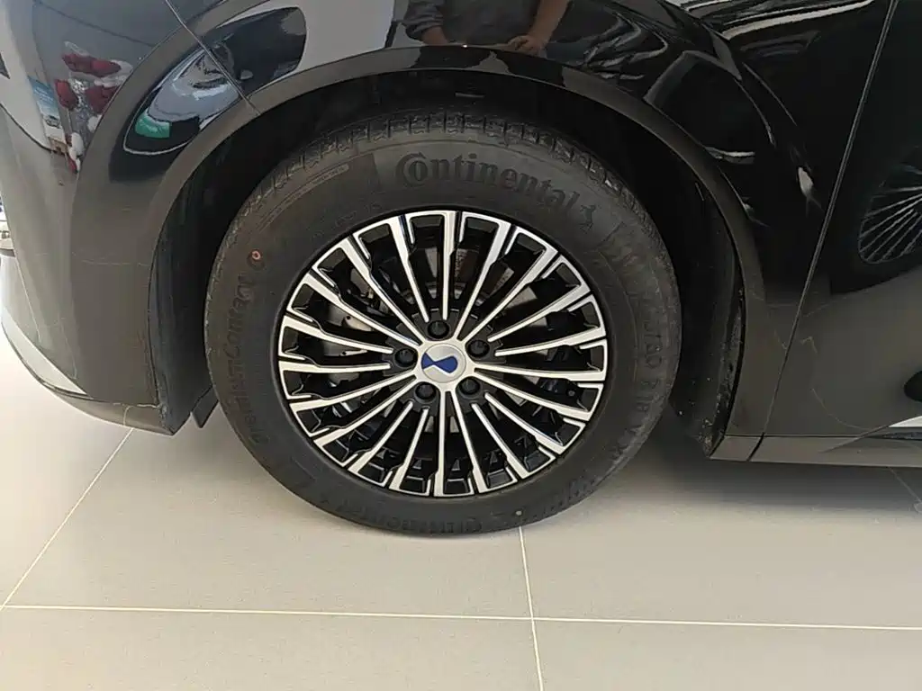 Denza Denza D9 — миниатюра 23