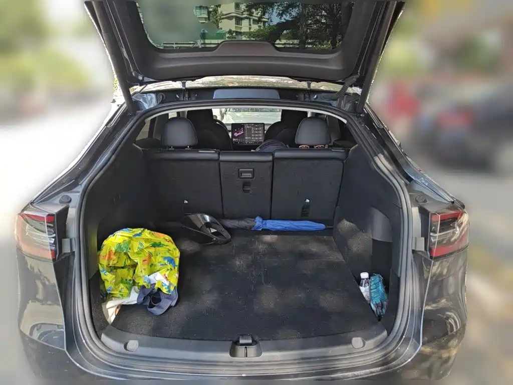 Tesla Model Y — миниатюра 15