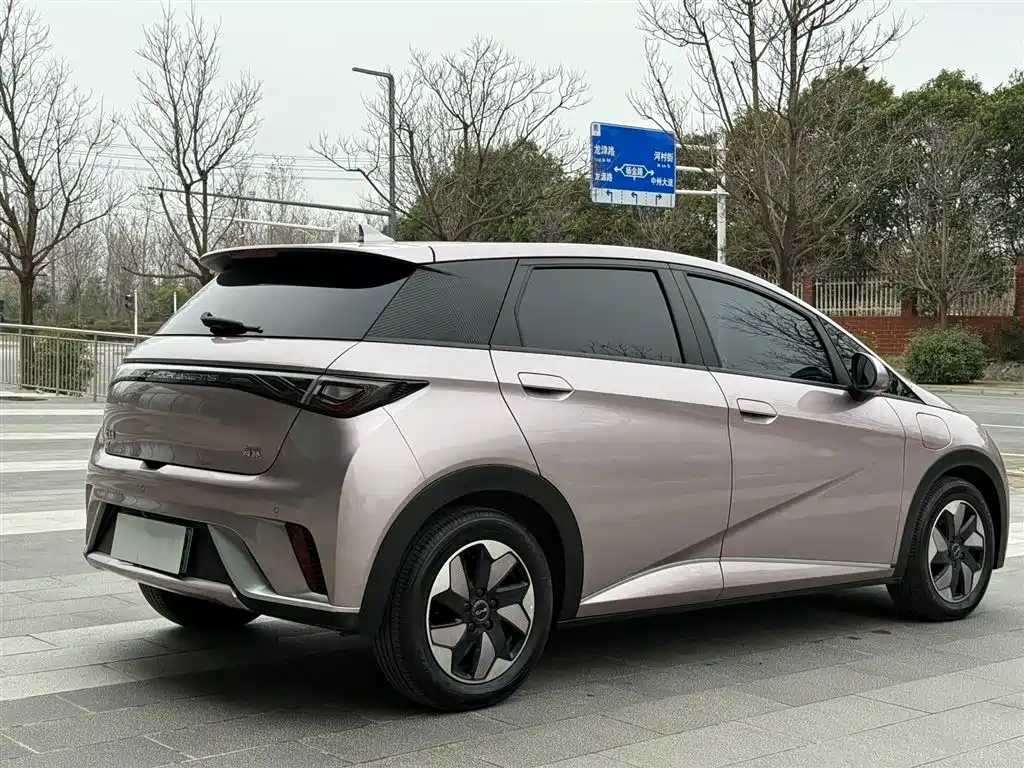 BYD DOLPHIN