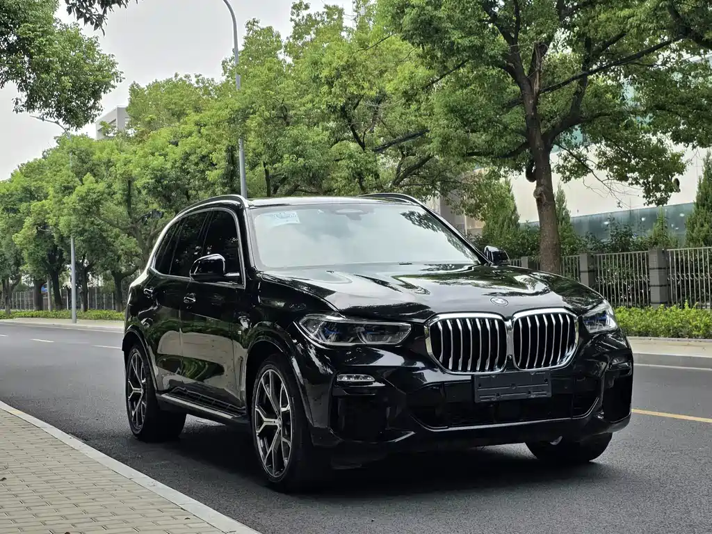 BMW X5 (Import) — миниатюра 2