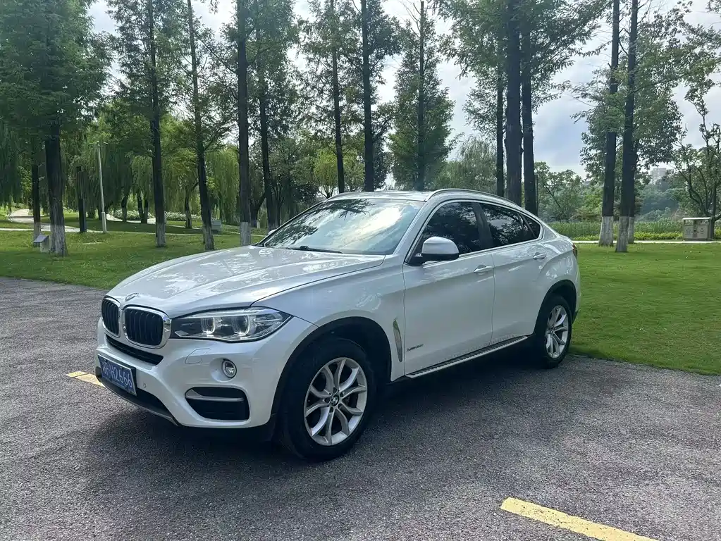 BMW X6 — миниатюра 2