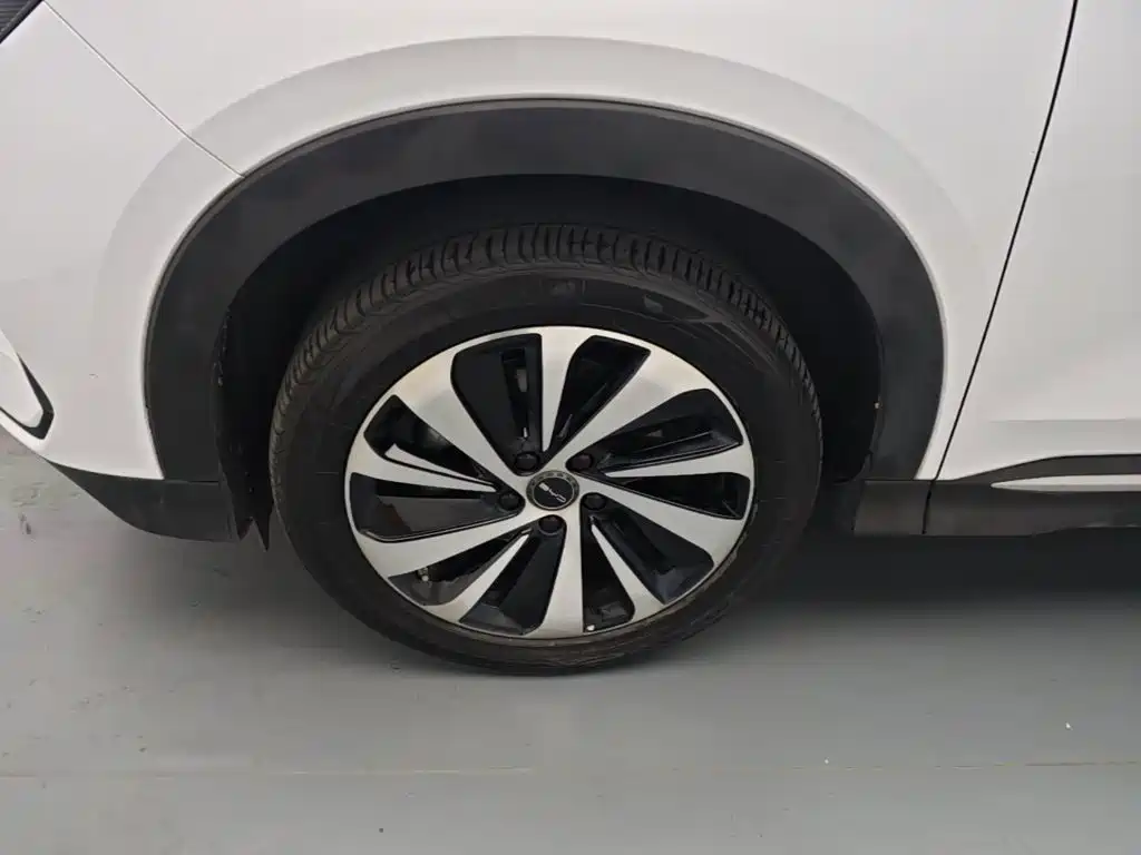 BYD PLUS New Energy — миниатюра 23