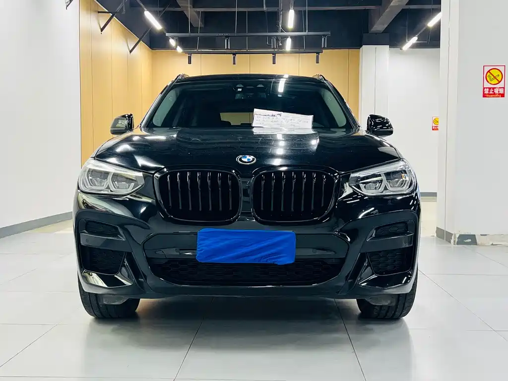 BMW X3 — миниатюра 2
