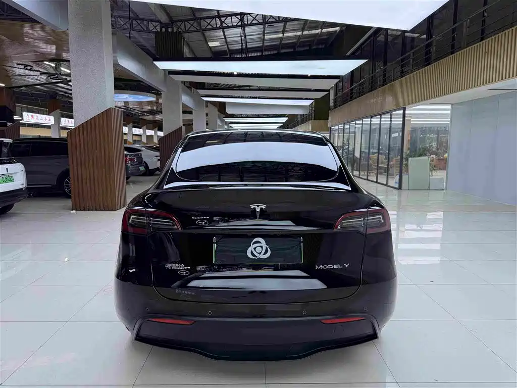 Tesla Model Y — миниатюра 8